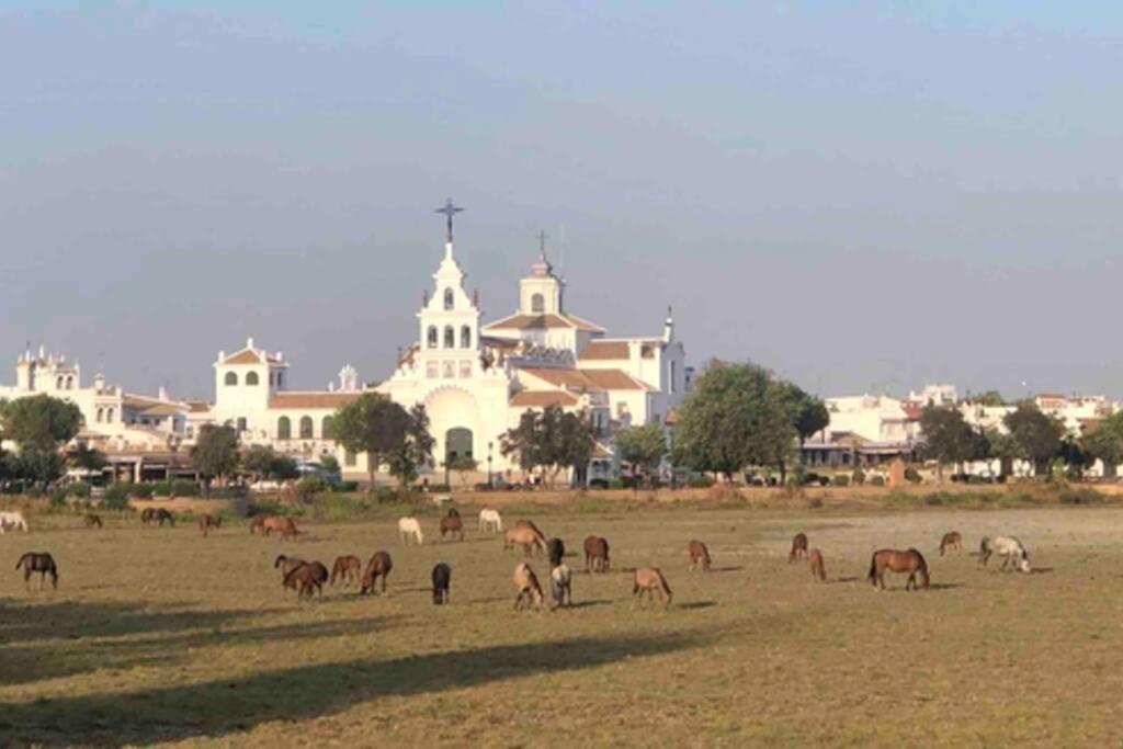 Casa Luz Del Rocio Refugio Con Alma A 8 Minutos De La Ermita公寓 外观 照片